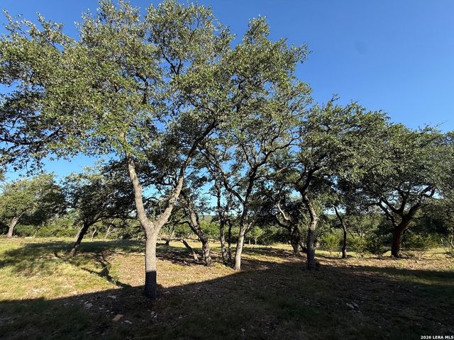 134 Lantana Cerro, Spring Branch, TX 78070
