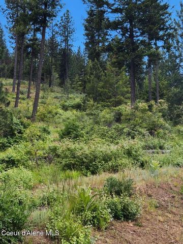 18xxx W Granite Springs Dr, Post Falls, ID 83854