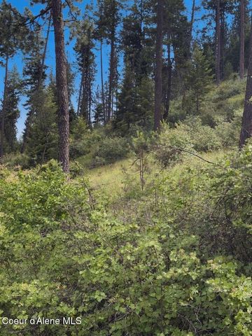 18xxx W Granite Springs Dr, Post Falls, ID 83854