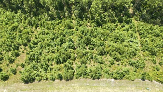 15977 Ridge Oak Road, Willis, TX 77378