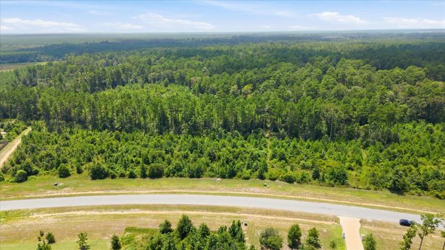 15977 Ridge Oak Road, Willis, TX 77378