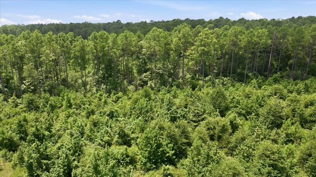 15977 Ridge Oak Road, Willis, TX 77378