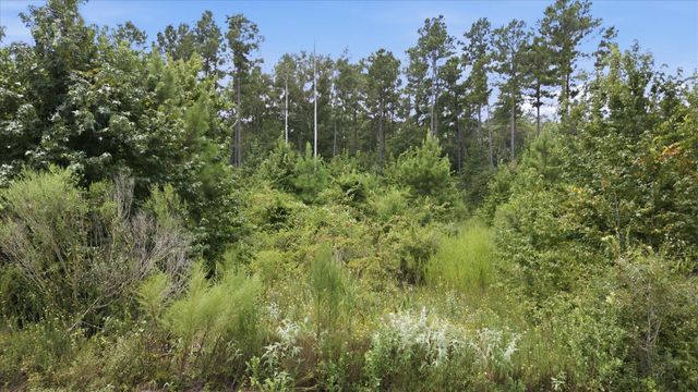 15977 Ridge Oak Road, Willis, TX 77378