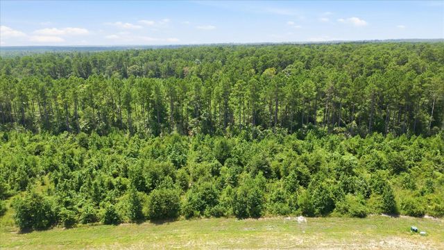 15977 Ridge Oak Road, Willis, TX 77378