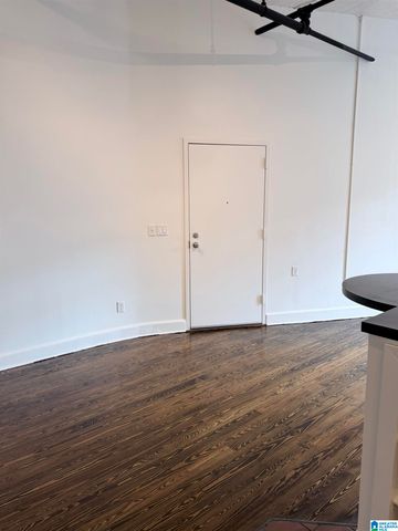 113 22nd St N Apt 309, Birmingham, AL 35203