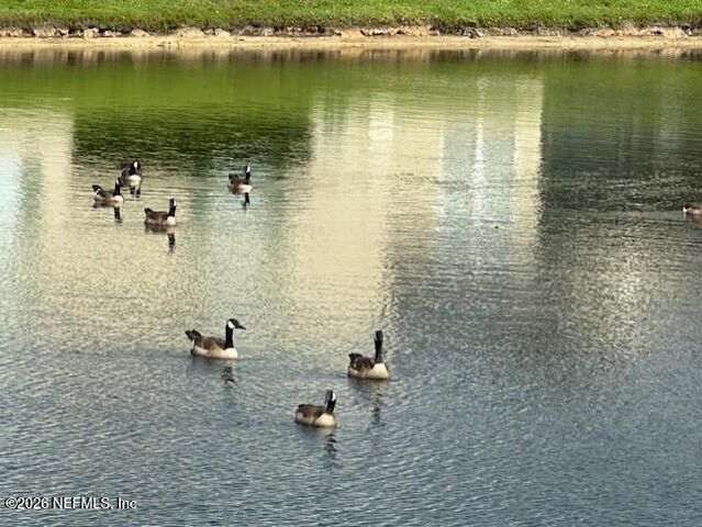 1890 COPPER STONE Drive D, Fleming Island, FL 32003