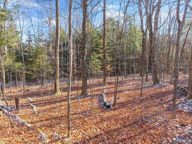 403 Blueberry Hill Road, Call Listing Agent, NY 12122