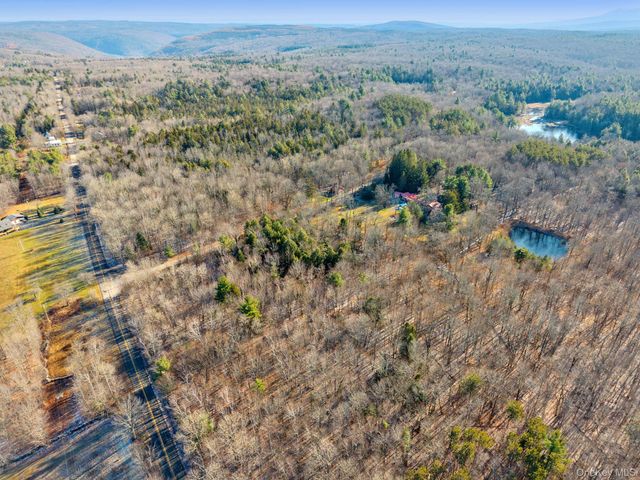 403 Blueberry Hill Road, Call Listing Agent, NY 12122