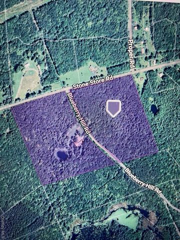 403 Blueberry Hill Road, Call Listing Agent, NY 12122