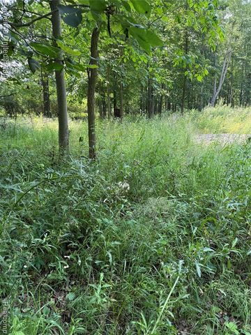 5550 Fisher Road, Howell, MI 48855