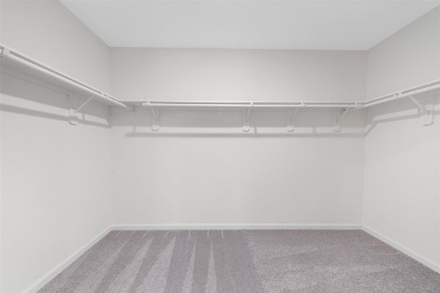 15347 Abella Drive, Montgomery, TX 77316