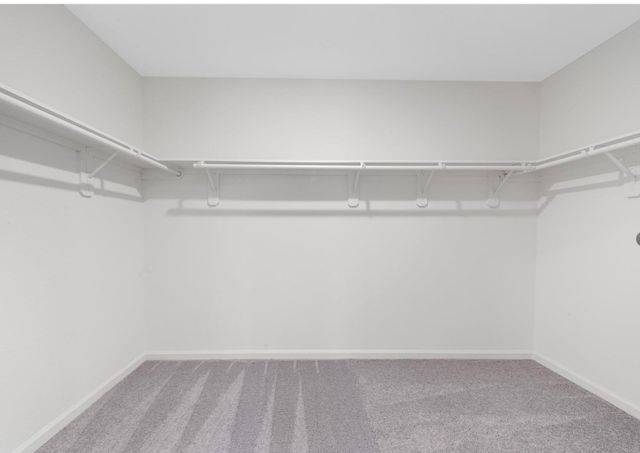 15347 Abella Drive, Montgomery, TX 77316