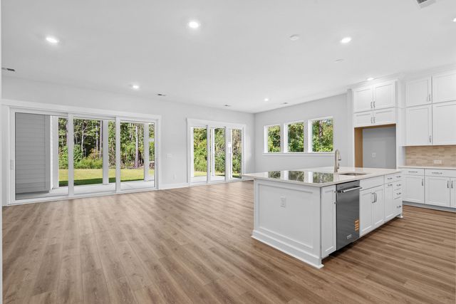 509 Spiral Ramp Court, Charleston, SC 29492
