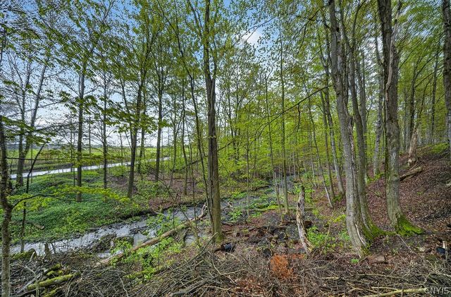 2421 Shamrock Road, Spafford, NY 13152