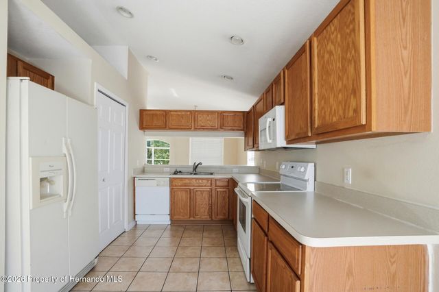 13408 Teaberry Lane, Spring Hill, FL 34609