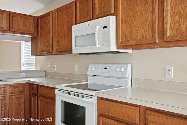 13408 Teaberry Lane, Spring Hill, FL 34609