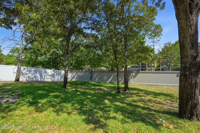 13408 Teaberry Lane, Spring Hill, FL 34609