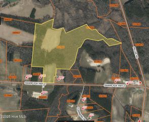 Near 8745 Swamp Fox Highway, Tabor City, NC 28463