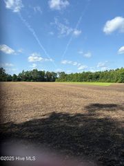 Near 8745 Swamp Fox Highway E, Tabor City, NC 28463