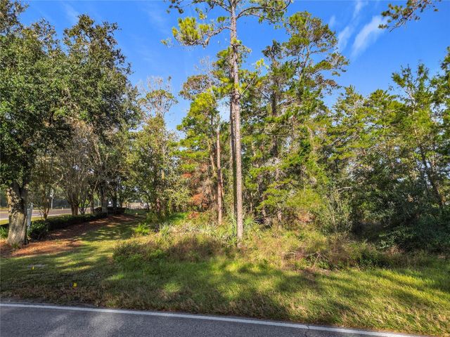 1 OAK VILLAGE BOULEVARD, Homosassa, FL 34446