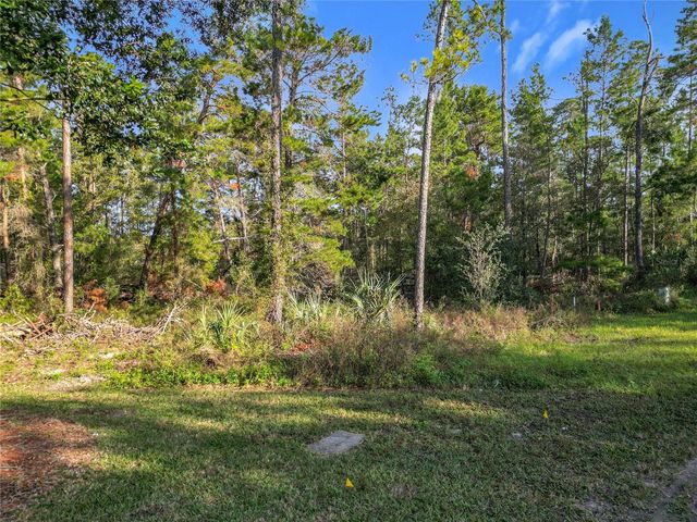 1 OAK VILLAGE BOULEVARD, Homosassa, FL 34446