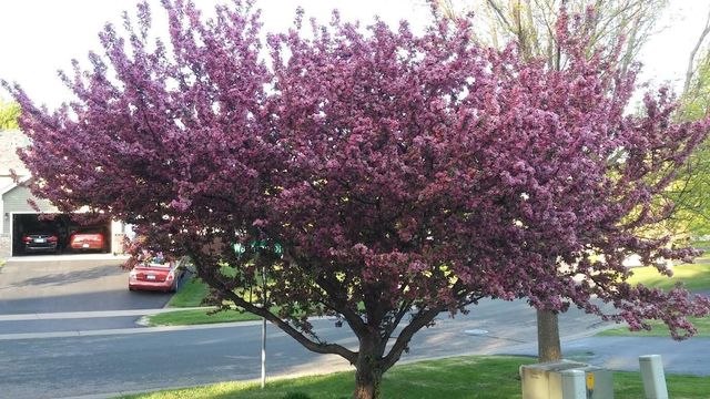 9902 Washington Street NE, Blaine, MN 55434