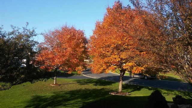 9902 Washington Street NE, Blaine, MN 55434