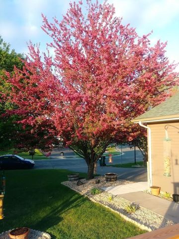 9902 Washington Street NE, Blaine, MN 55434