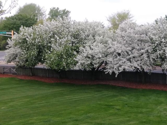 9902 Washington Street NE, Blaine, MN 55434