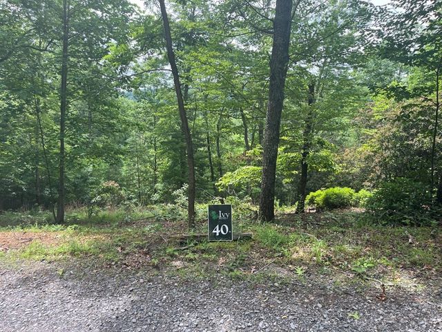 Lot 40 Burger Road, Murphy, NC 28906