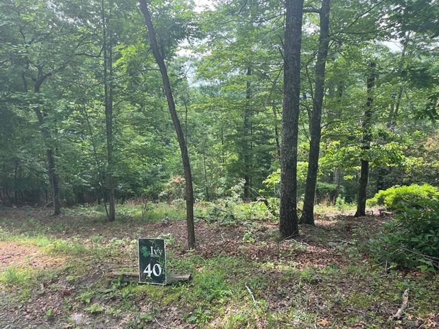 Lot 40 Burger Road, Murphy, NC 28906