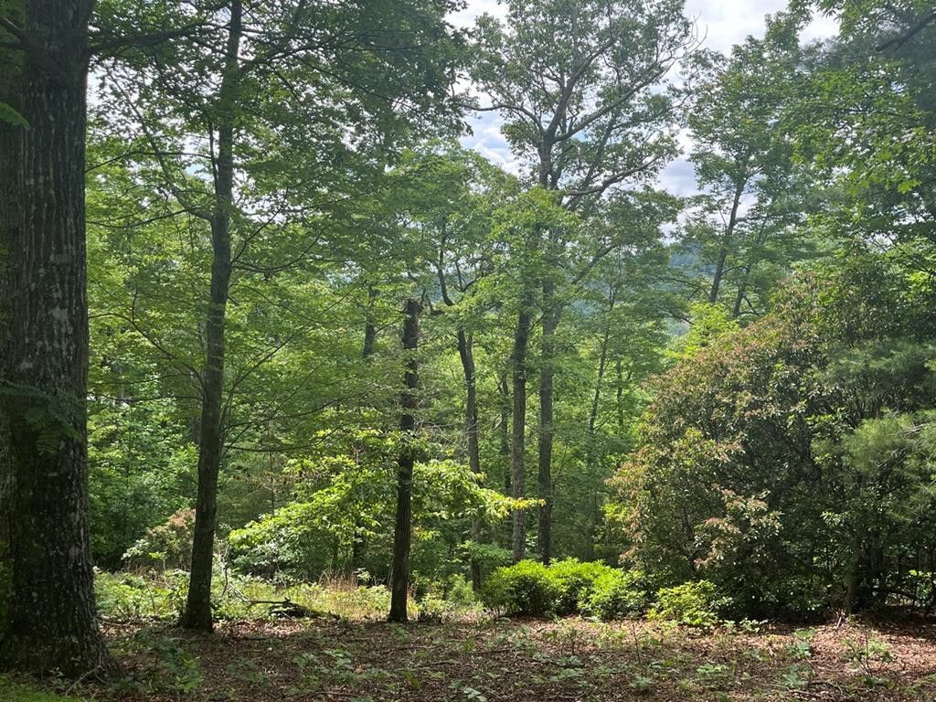 Lot 40 Burger Road, Murphy, NC 28906