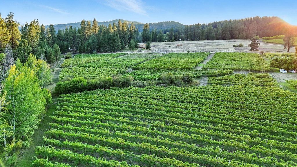 3752 Vineyard Way, Kettle Falls, WA 99141 photo 38