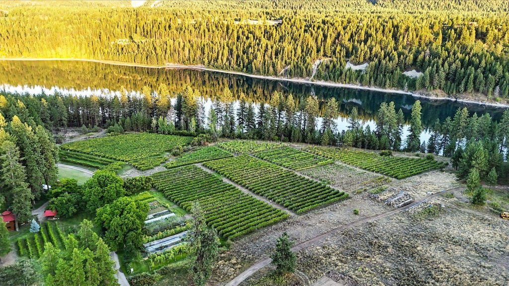 3752 Vineyard Way, Kettle Falls, WA 99141 photo 40