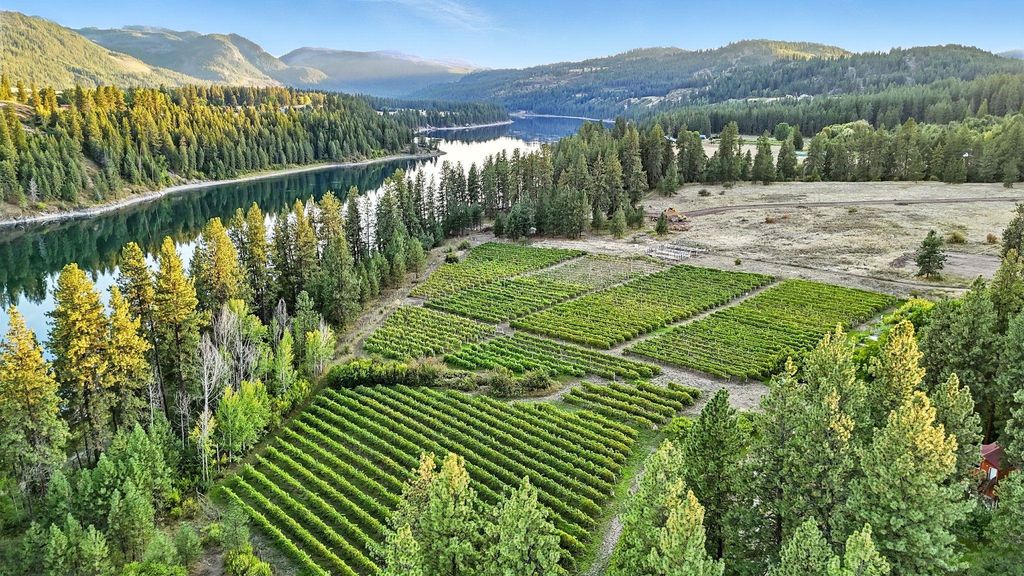 3752 Vineyard Way, Kettle Falls, WA 99141 photo 50