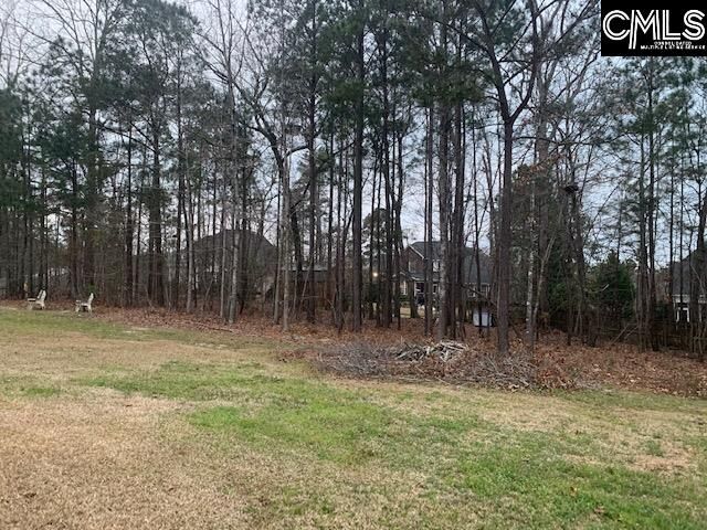 920 Ringbelle Row, Blythewood, SC 29016