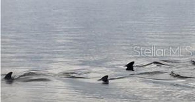 2002 ALEXIS COURT, Tarpon Springs, FL 34689