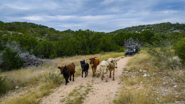 TBD RM 2523, Del Rio, TX 78880