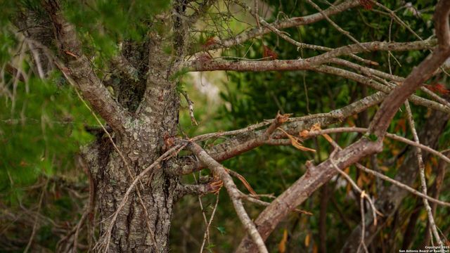 TBD RM 2523, Del Rio, TX 78880