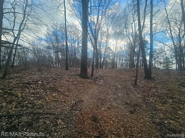 4253 Link Drive, Brighton, MI 48114