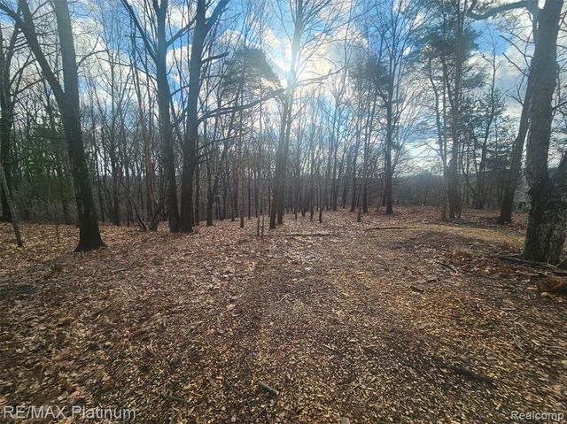 4253 Link Drive, Brighton, MI 48114