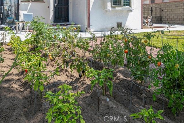 533 Hawthorne Street, Glendale, CA 91204