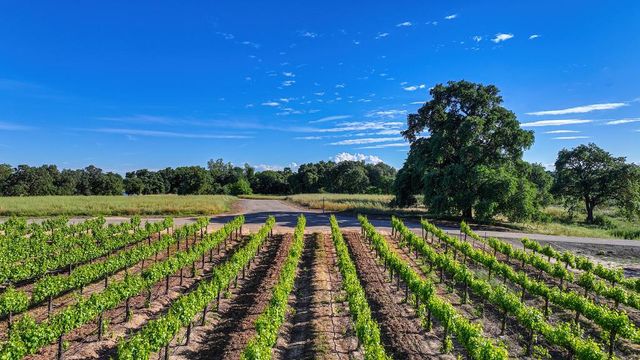 1850 W Twisted Vine Way, Acampo, CA 95220
