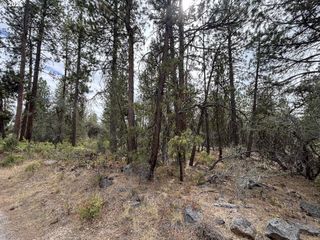 Bunting Dr, Bonanza, OR 97623