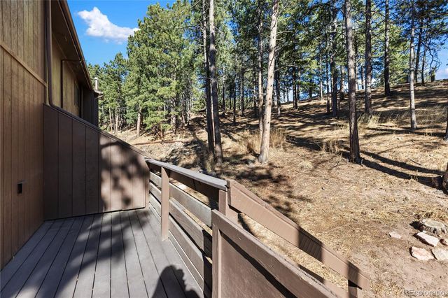 570 Manor Court D, Woodland Park, CO 80863