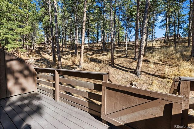 570 Manor Court D, Woodland Park, CO 80863