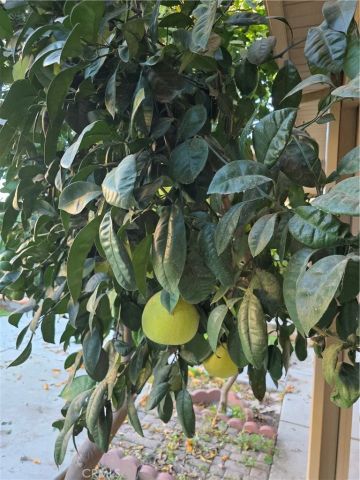 537 Peregrine Lane, San Jacinto, CA 92582