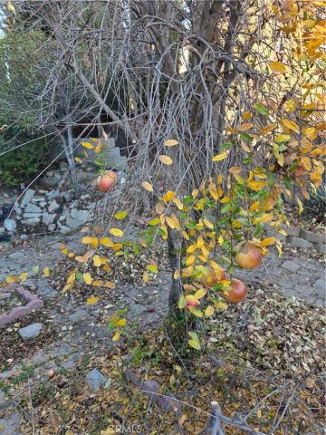 537 Peregrine Lane, San Jacinto, CA 92582