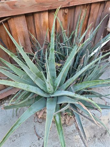 537 Peregrine Lane, San Jacinto, CA 92582