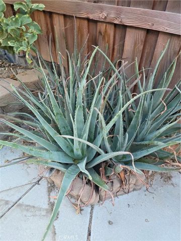 537 Peregrine Lane, San Jacinto, CA 92582